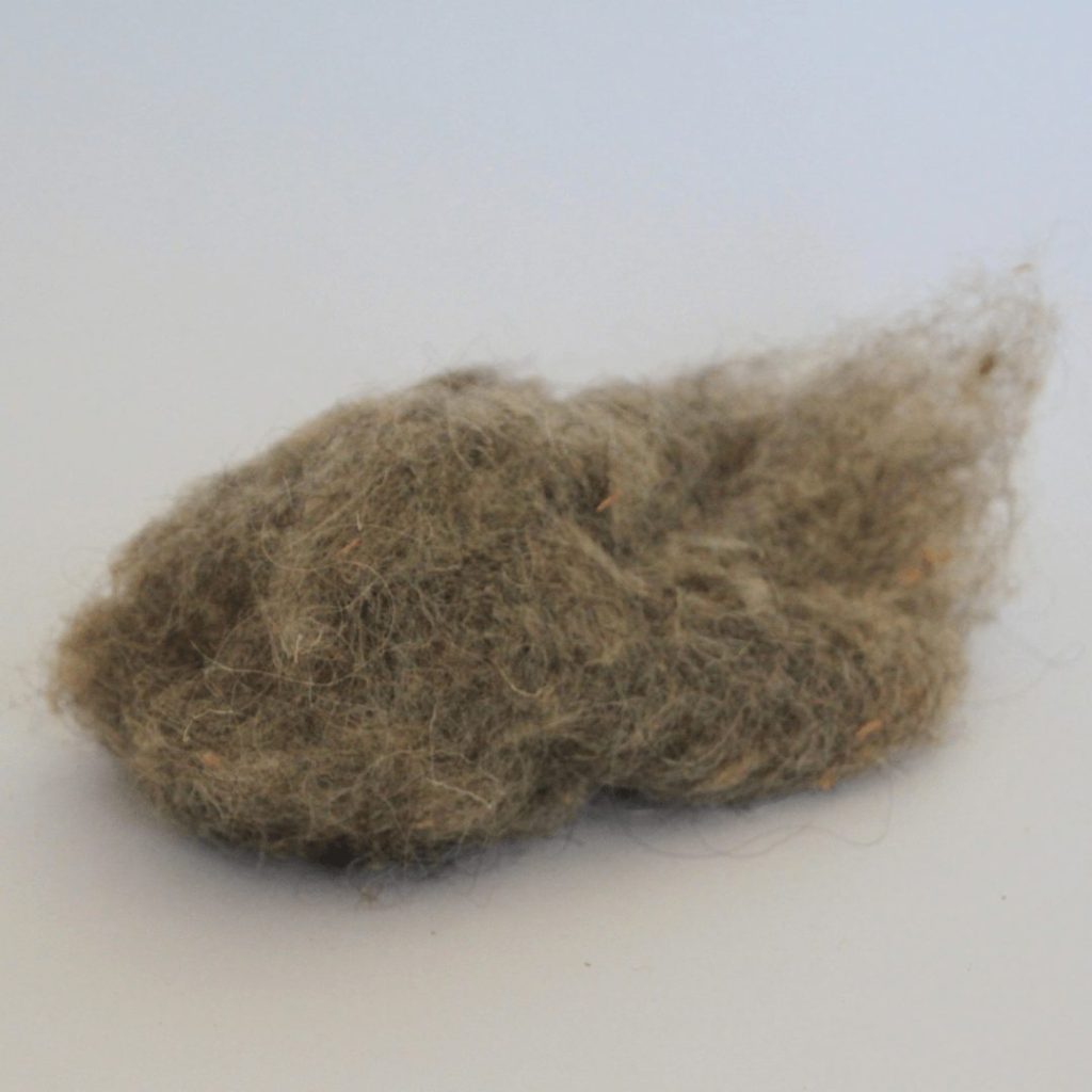 Ökologisch bauen Material: Schafwolle